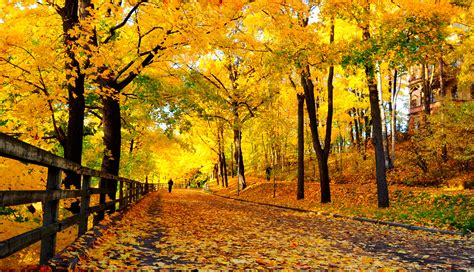 The Meaning And Symbolism Of The Word Autumn