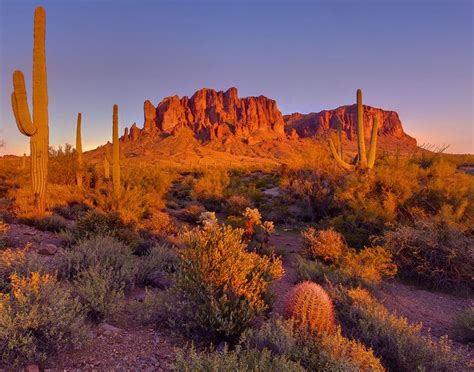 Apache Junction Arizona Beautiful Desert Sunsets And Many Critters