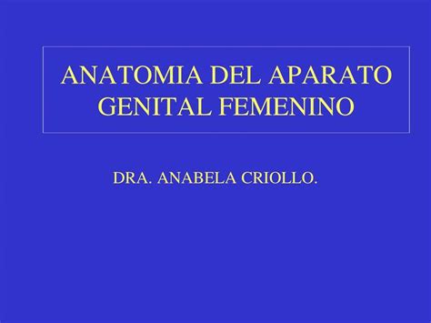 Anatomía Del Aparato Genital Femenino Jose Guaman Udocz