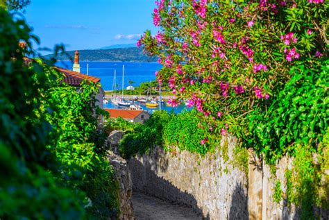Krk Tipps Urlaub Auf Der Goldenen Insel Kroatiens Reiseuhude