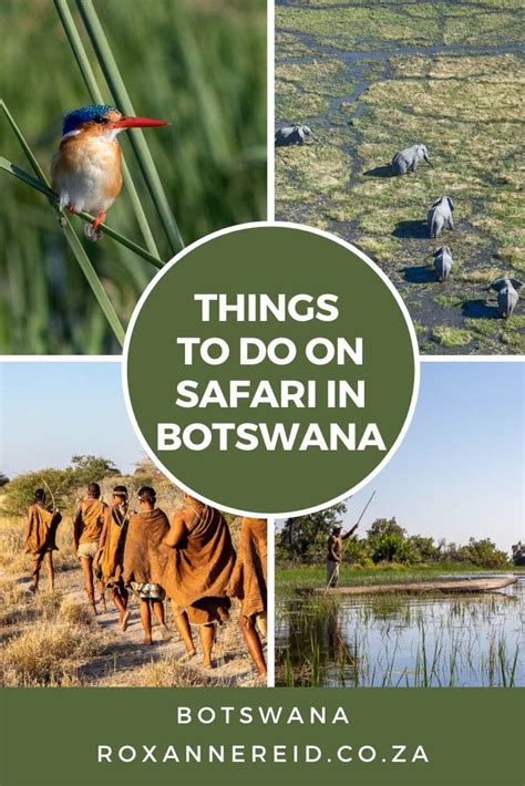 8 Best Things To Do On Safari In Botswana Roxanne Reid Botswana Travel Botswana Things To Do
