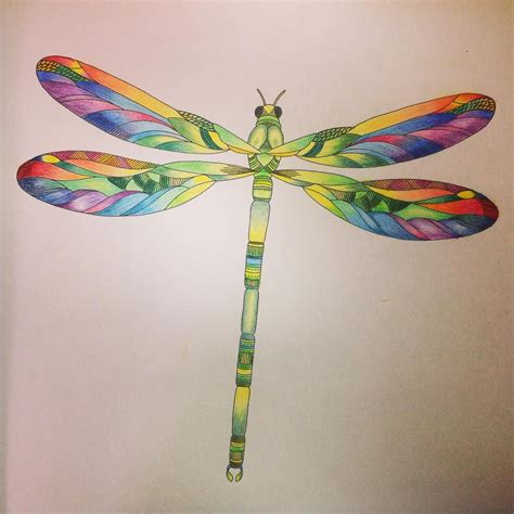 Dragonfly Colored Pencil Drawing Bestpencildrawing