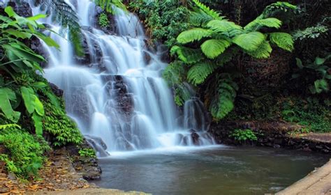 Balis Best Waterfalls 13 Hidden Treasures For Your Bali