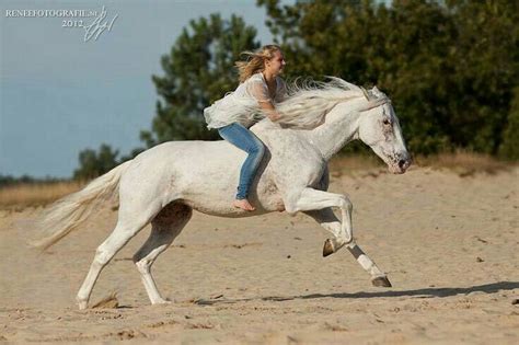 Riding Without Saddle Or Bridle Horses Bareback Riding Horse Love