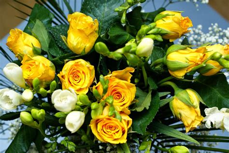 Beautiful rose flowers images and wallpapers hd pictures. Yellow Flowers Bouquet|http://refreshrose.blogspot.com/