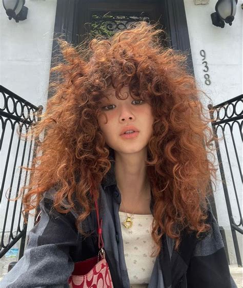 pin by hannah on curly hair curly girl hairstyles fluffy curly hair red curly hair