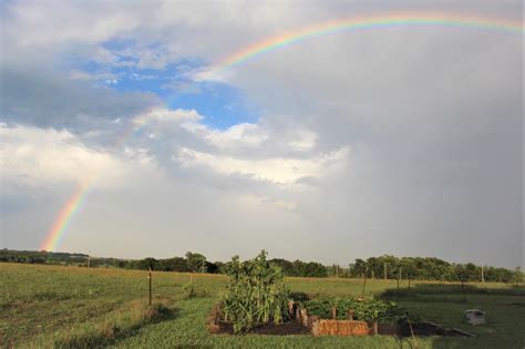 Rainbow In The Garden Shawnee County Kansas Jamie Olsen Beauty Of
