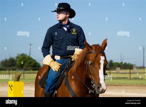 1st Cavalry Division Horse Detachment Hi Res Stock Photography And