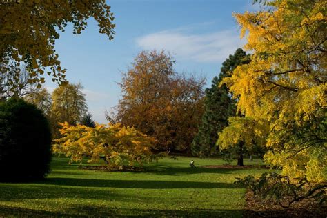 Royal Botanic Gardens Kew Richmond London Autumn
