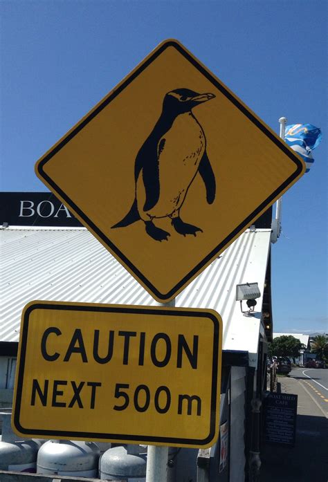 Kalo udah drag gambar singa ke gambar apel!! Abel Tasman, New Zealand