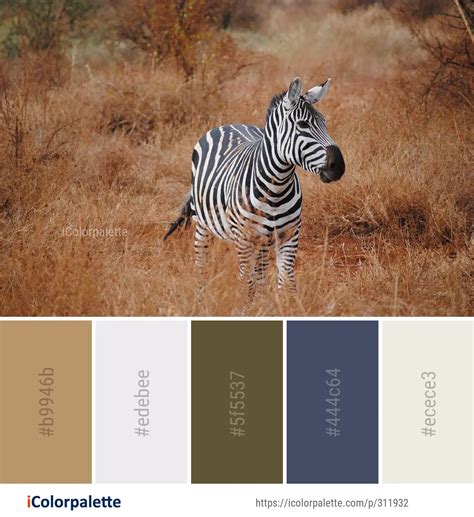 124 Safari Color Palette Ideas In 2022 Icolorpalette