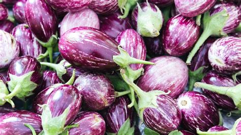 10 Tasty Vegan Eggplant Recipes