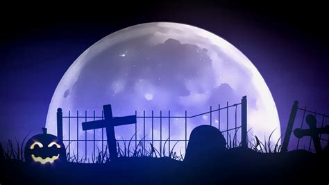 Spooky Halloween Night Scene Stock Motion Graphics Sbv 300208922