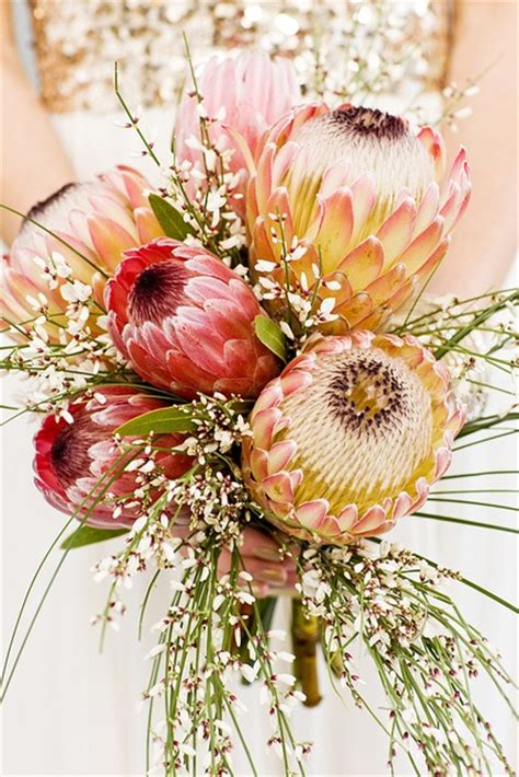 Gorgeous Proteas Protea Wedding Wedding Bouquets Flower Arrangements