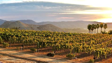 Travel California Wine Country's Back Roads: Southern California Spotlight - California Ag Network