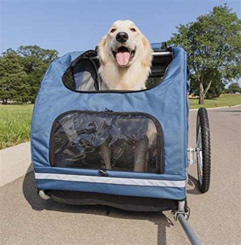 The 10 Best Dog Bike Trailers And Carriers For Riding With Your Pup