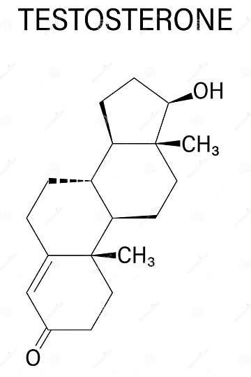 Testosterone Male Sex Hormone Androgen Molecule Skeletal Formula Stock Vector Illustration Of