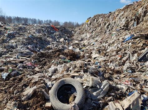 Борьба с незаконными свалками обошла Раменский го стороной