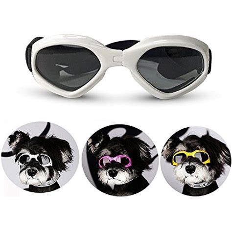 Three Dogs Wearing Goggles And Sunglasses With Different Frames For