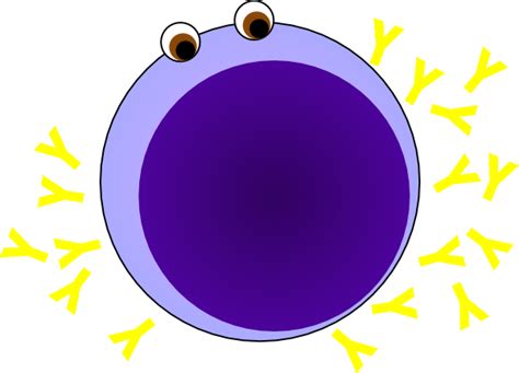 Cartoon B Cell Clip Art At Vector Clip Art Online Royalty