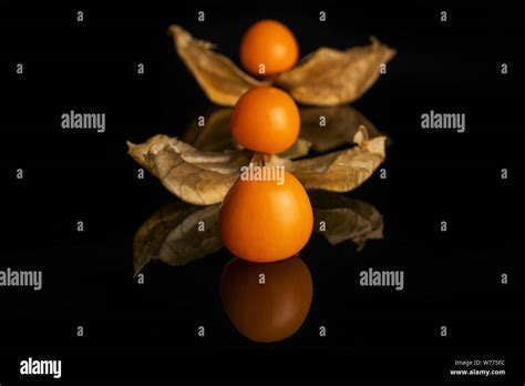 Group Of Three Whole Fresh Orange Physalis Layered In Row Isolated On