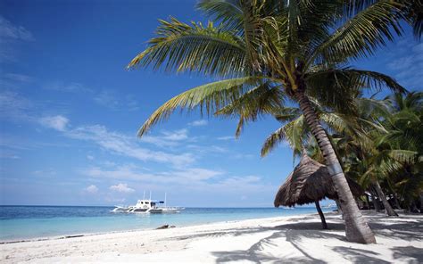 Bohol Resort Philippines | Philippines travel, Philippines beaches, Philippines travel guide