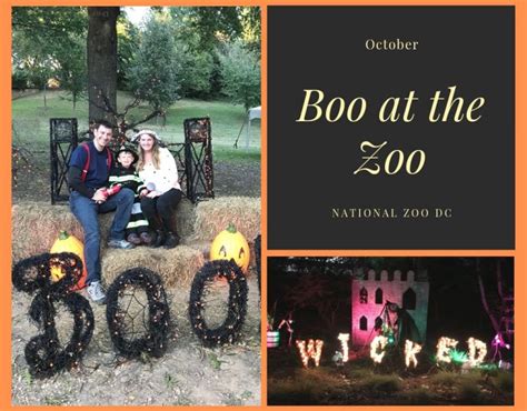 Boo At The Zoo At The National Zoo In Dc Pack More Into Life