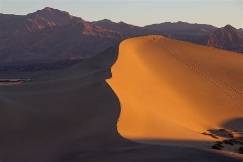 Rolling Sand Dunes Mesmerize With Sun Rising Over Death Valley Daily