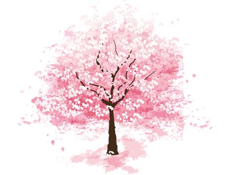 Anime Cherry Blossom Tree Drawing Cherry Blossom Anime Sakura Blossoms