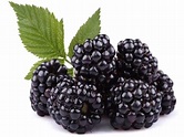 Blackberry Fruit PNG Images Transparent Free Download | PNGMart