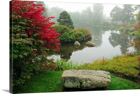 Scenic View Of A Japanese Garden In Autumn Asticou Azalea Gardens