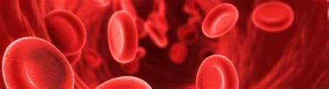 Anemia Mediterranea Cause Sintomi E Conseguenze