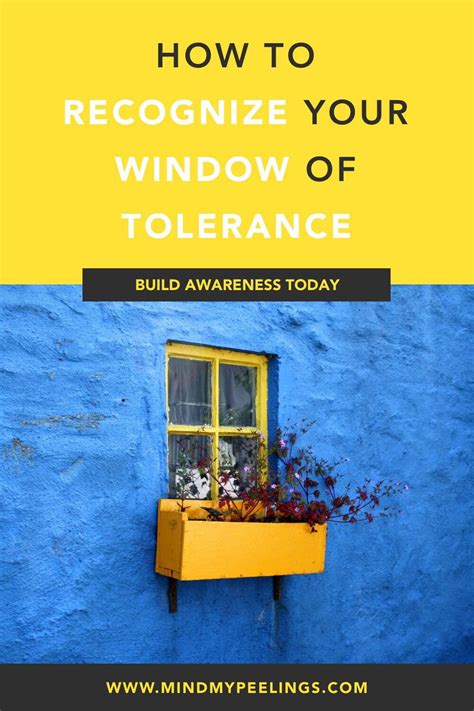 How To Recognize Your Window Of Tolerance — Mind My Peelings