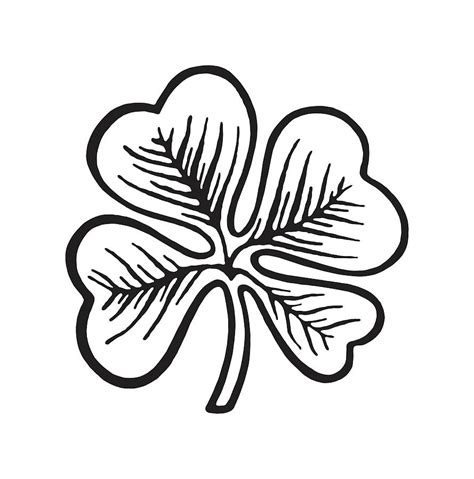 4 Leaf Clover Drawing By Csa Images Fine Art America