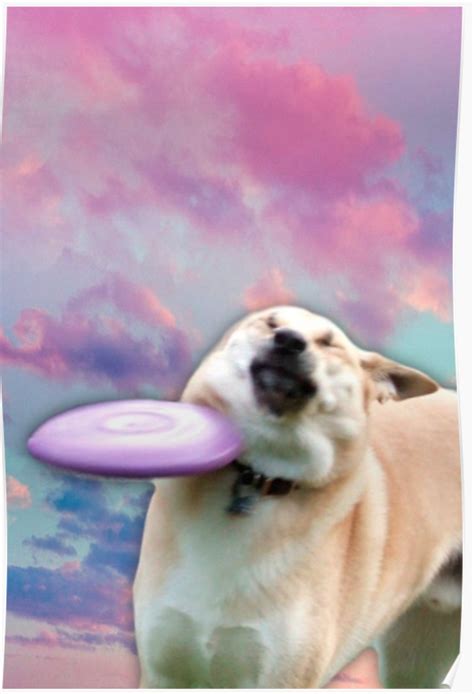 Frisbee Doge Poster By Wheel Clamp Cute Doge Doge