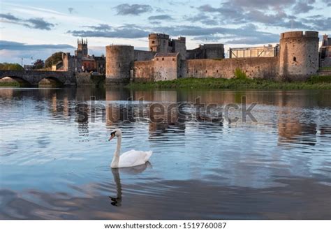 1534 Swan Ireland Images Stock Photos And Vectors Shutterstock