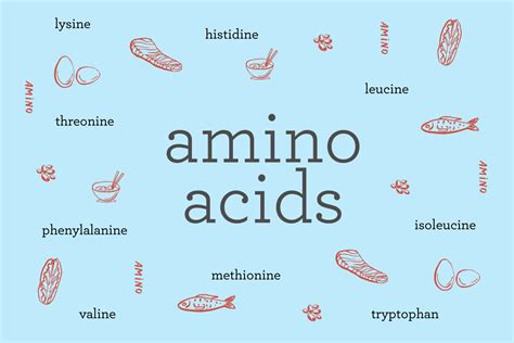 What are amino acids? Exploring the 9 essential amino acids + the foods ...