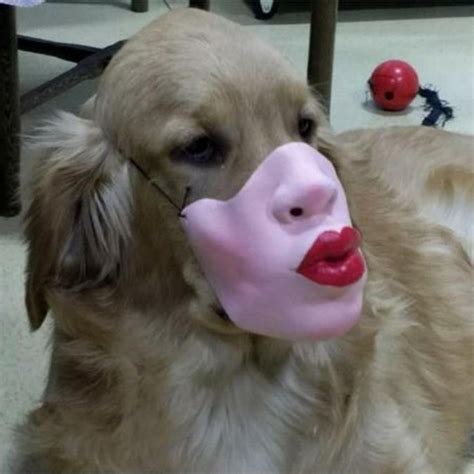 Funny Human Face Dog Mask