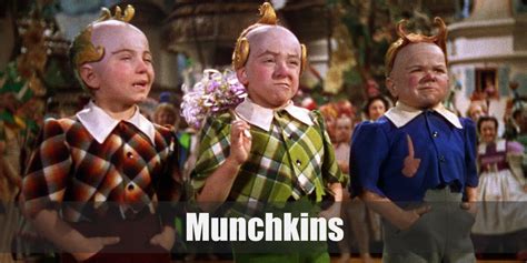 Lollipop Guild Munchkins The Wizard Of Oz Costume For Cosplay