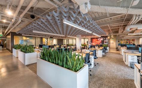 11 Offices That Embrace Wellness Nature And Biophilic Design