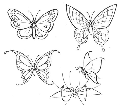 How Butterflyto Draw A Yahoo Search Results Dessin Papillon