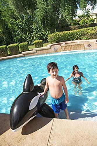 H2ogo Jumbo Whale Rider Inflatable Pool Float Pricepulse