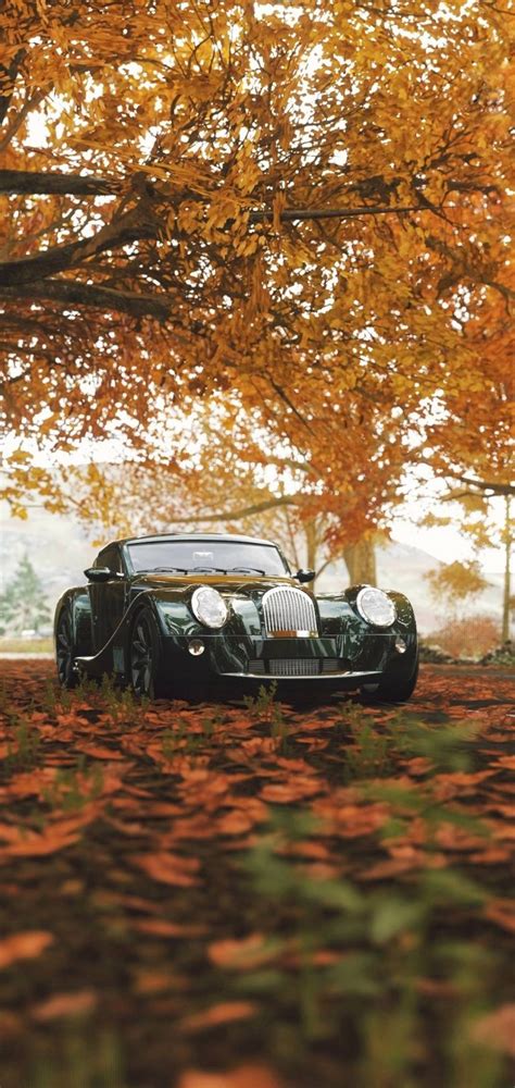 Autumn Season Leaves Car Wallpaper 1080x2280