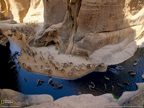 Archei Oasis In Chad In Northern Africa Photograph By George Steinmetz
