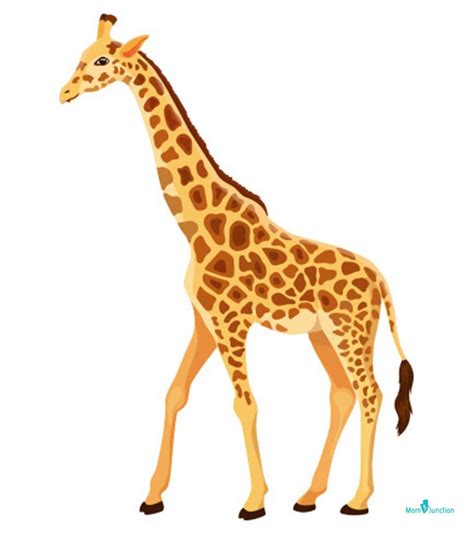 How To Draw A Giraffe Easy Step By Step Tutorial For Kids Giraffe