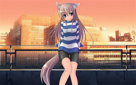 1284x2778px Free Download Hd Wallpaper Anime Cat Girl Anime