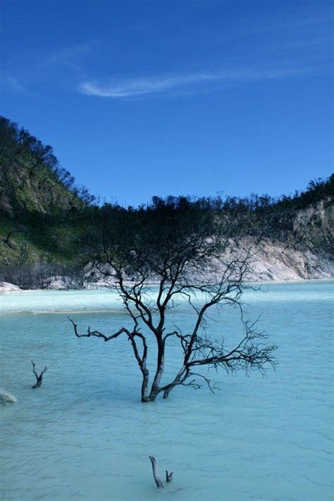 Check spelling or type a new query. Kawah Putih - Bandung Indonesia (Dengan gambar ...