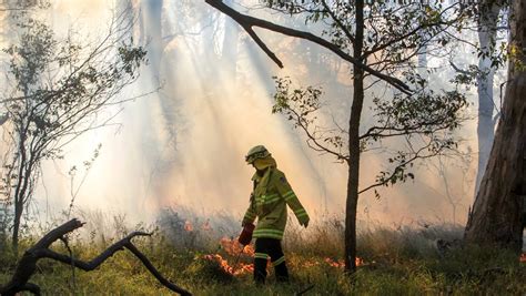Frequent Fire Makes The Bush More Likely To Burn Uow