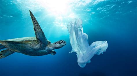 Plastic ban: WA’s plan ‘most ambitious’ in the country ...