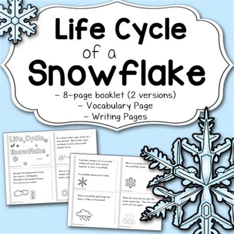 Snowflake Life Cycle Worksheets Mamas Learning Corner